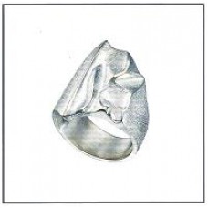 Zilveren ring - Lapponia - Kauris (BW) - 61720